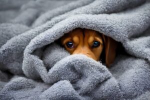 Einkuscheln aber ohne ungesunde Duftstoffe