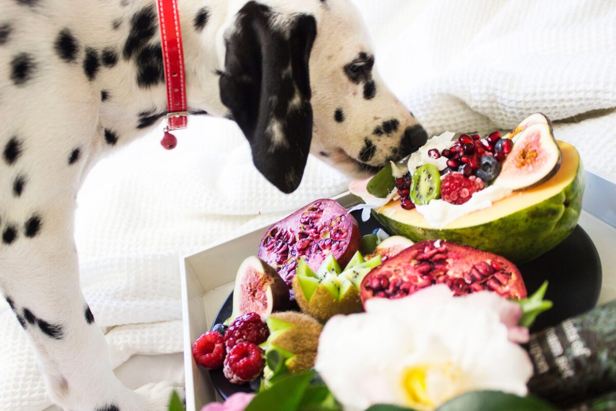 Blogbeiträge rund um die Ernährung
