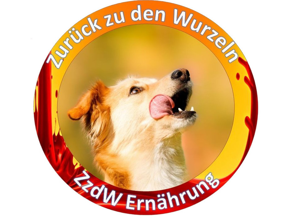 Über die richtige Balance der Hundeernährung
