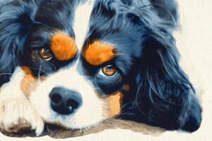 Cholestase: Symptome und Therapieansätze